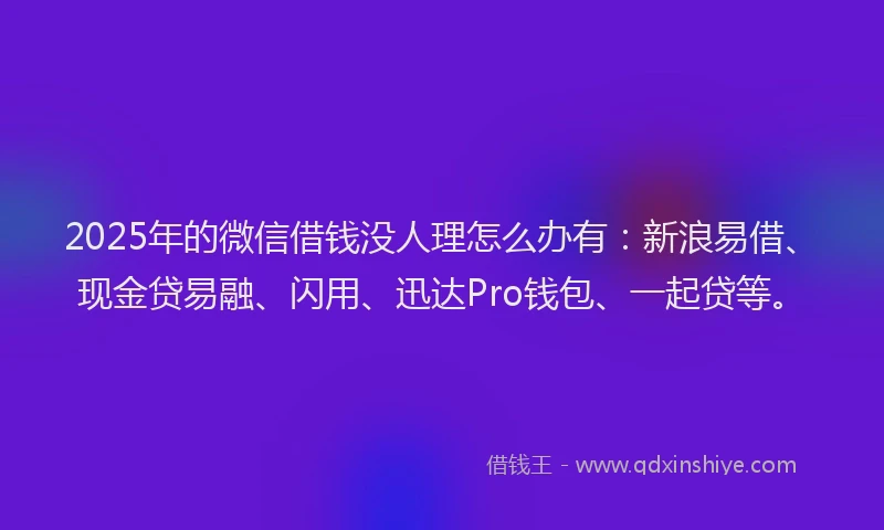 2025年的微信借钱没人理怎么办有：新浪易借、现金贷易融、闪用、迅达Pro钱包、一起贷等。