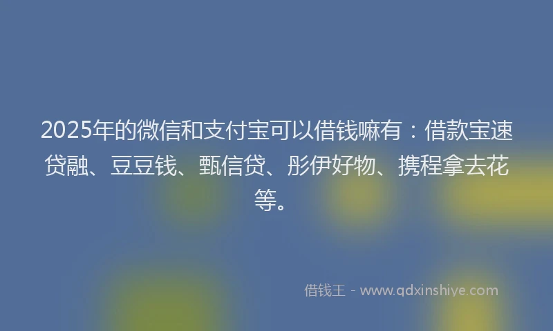 2025年的微信和支付宝可以借钱嘛有：借款宝速贷融、豆豆钱、甄信贷、彤伊好物、携程拿去花等。
