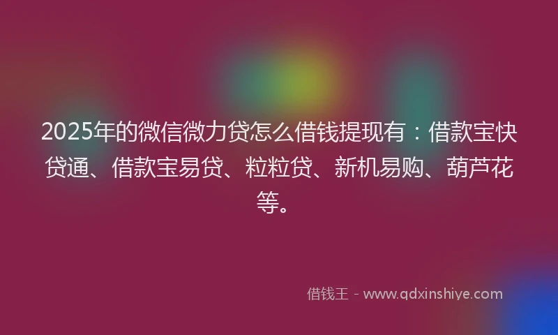 2025年的微信微力贷怎么借钱提现有：借款宝快贷通、借款宝易贷、粒粒贷、新机易购、葫芦花等。
