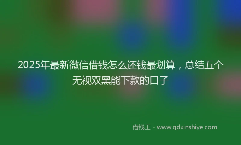 2025年最新微信借钱怎么还钱最划算，总结五个无视双黑能下款的口子