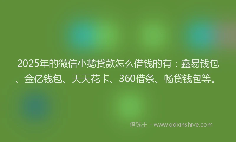 2025年的微信小鹅贷款怎么借钱的有：鑫易钱包、金亿钱包、天天花卡、360借条、畅贷钱包等。