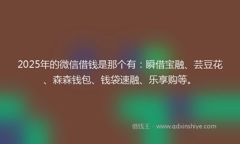 2025年的微信借钱是那个有：瞬借宝融、芸豆花、森森钱包、钱袋速融、乐享购等。