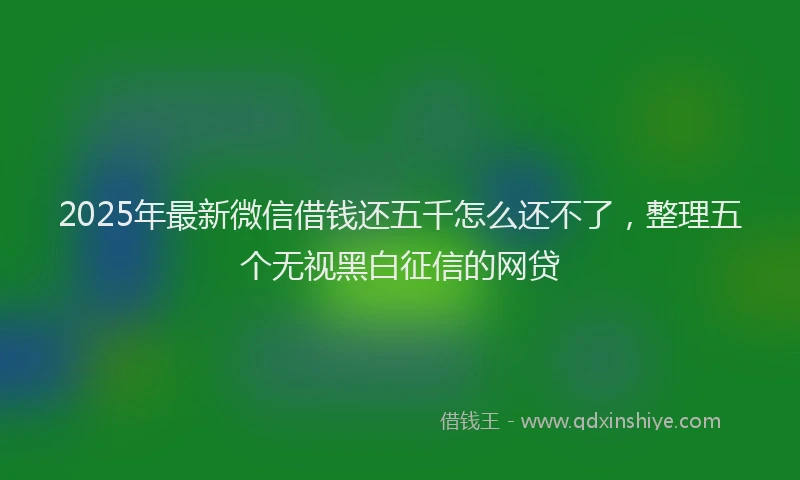 2025年最新微信借钱还五千怎么还不了，整理五个无视黑白征信的网贷