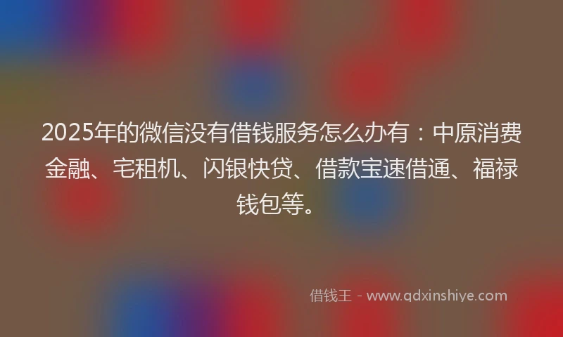 2025年的微信没有借钱服务怎么办有：中原消费金融、宅租机、闪银快贷、借款宝速借通、福禄钱包等。