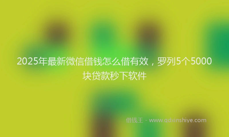 2025年最新微信借钱怎么借有效，罗列5个5000块贷款秒下软件