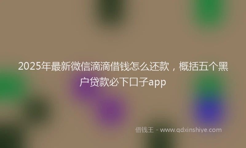 2025年最新微信滴滴借钱怎么还款，概括五个黑户贷款必下口子app