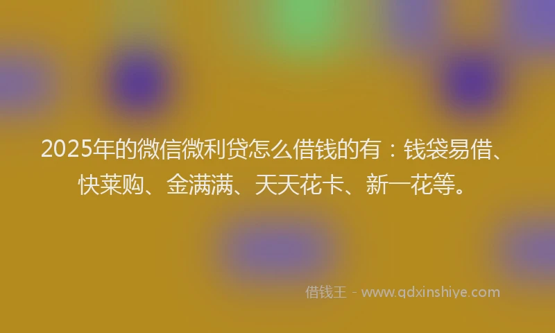 2025年的微信微利贷怎么借钱的有：钱袋易借、快莱购、金满满、天天花卡、新一花等。