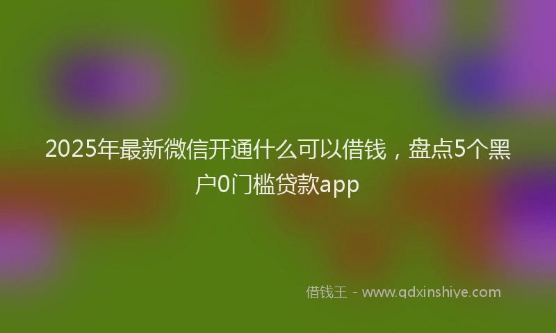 2025年最新微信开通什么可以借钱，盘点5个黑户0门槛贷款app