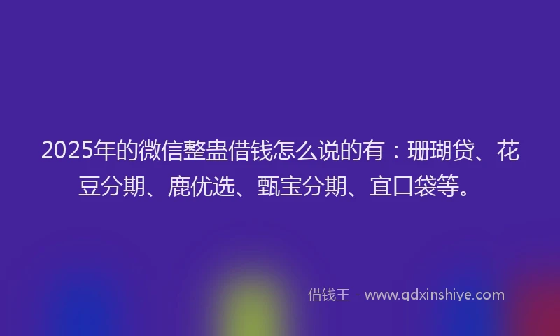 2025年的微信整蛊借钱怎么说的有：珊瑚贷、花豆分期、鹿优选、甄宝分期、宜口袋等。