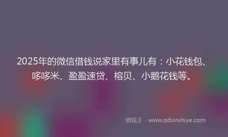 2025年的微信借钱说家里有事儿有：小花钱包、哆哆米、盈盈速贷、榕贝、小鹅花钱等。
