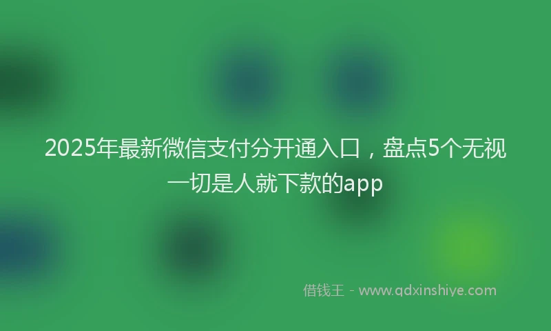 2025年最新微信支付分开通入口，盘点5个无视一切是人就下款的app