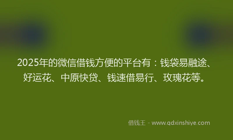 2025年的微信借钱方便的平台有：钱袋易融途、好运花、中原快贷、钱速借易行、玫瑰花等。