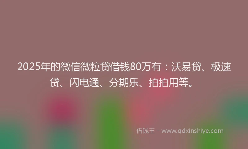 2025年的微信微粒贷借钱80万有：沃易贷、极速贷、闪电通、分期乐、拍拍用等。