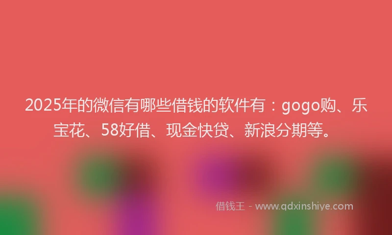 2025年的微信有哪些借钱的软件有：gogo购、乐宝花、58好借、现金快贷、新浪分期等。