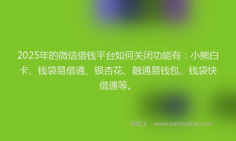 2025年的微信借钱平台如何关闭功能有：小熊白卡、钱袋易借通、银杏花、融通易钱包、钱袋快借通等。