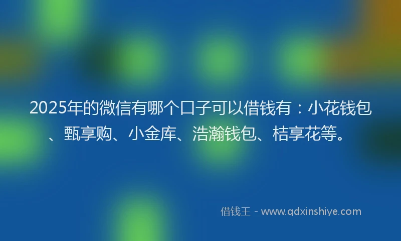 2025年的微信有哪个口子可以借钱有：小花钱包、甄享购、小金库、浩瀚钱包、桔享花等。