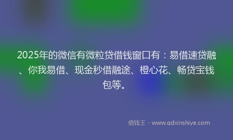 2025年的微信有微粒贷借钱窗口有：易借速贷融、你我易借、现金秒借融途、橙心花、畅贷宝钱包等。