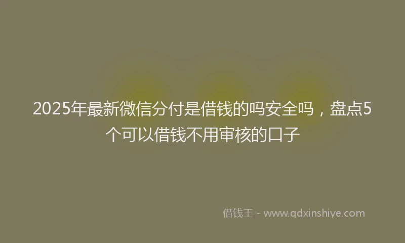 2025年最新微信分付是借钱的吗安全吗，盘点5个可以借钱不用审核的口子