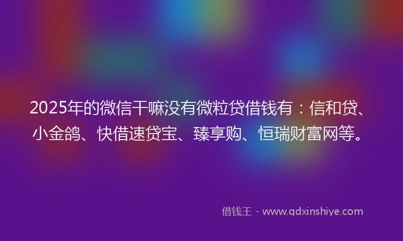 2025年的微信干嘛没有微粒贷借钱有：信和贷、小金鸽、快借速贷宝、臻享购、恒瑞财富网等。
