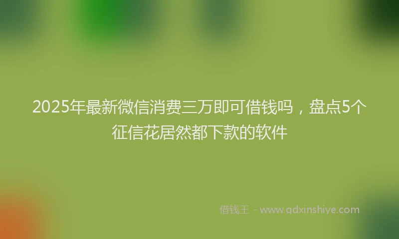 2025年最新微信消费三万即可借钱吗，盘点5个征信花居然都下款的软件