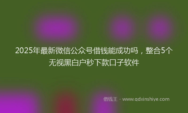 2025年最新微信公众号借钱能成功吗，整合5个无视黑白户秒下款口子软件