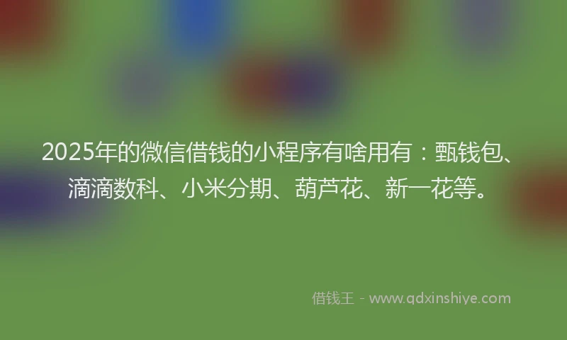 2025年的微信借钱的小程序有啥用有：甄钱包、滴滴数科、小米分期、葫芦花、新一花等。
