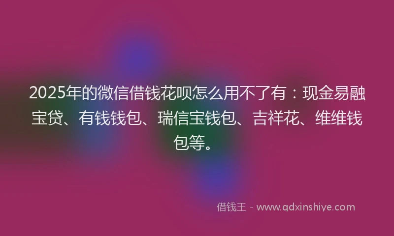 2025年的微信借钱花呗怎么用不了有：现金易融宝贷、有钱钱包、瑞信宝钱包、吉祥花、维维钱包等。