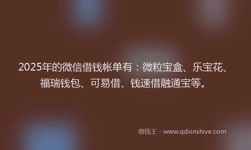 2025年的微信借钱帐单有：微粒宝盒、乐宝花、福瑞钱包、可易借、钱速借融通宝等。