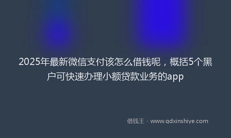 2025年最新微信支付该怎么借钱呢，概括5个黑户可快速办理小额贷款业务的app
