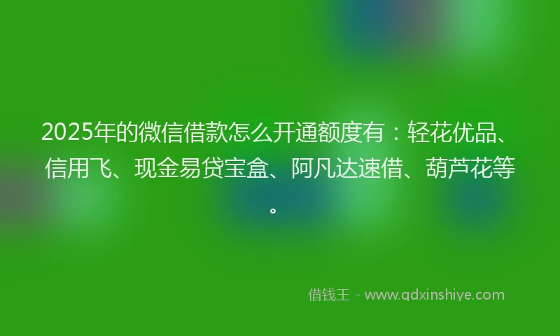 2025年的微信借款怎么开通额度有：轻花优品、信用飞、现金易贷宝盒、阿凡达速借、葫芦花等。