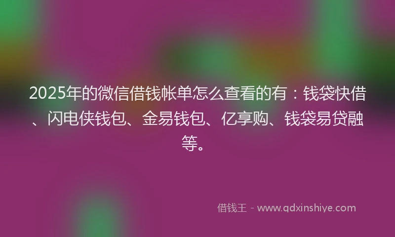 2025年的微信借钱帐单怎么查看的有：钱袋快借、闪电侠钱包、金易钱包、亿享购、钱袋易贷融等。