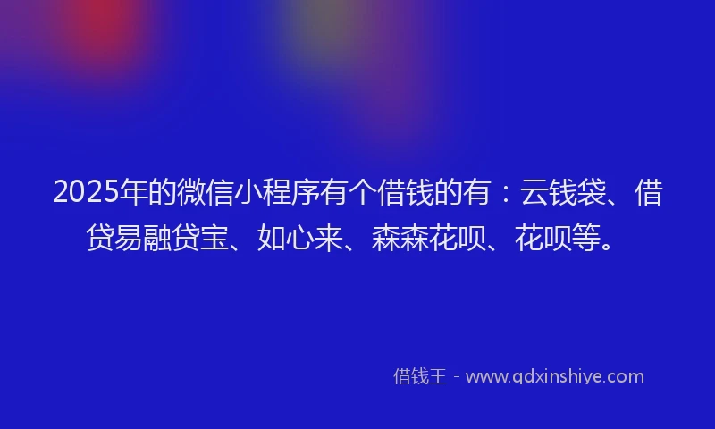 2025年的微信小程序有个借钱的有：云钱袋、借贷易融贷宝、如心来、森森花呗、花呗等。