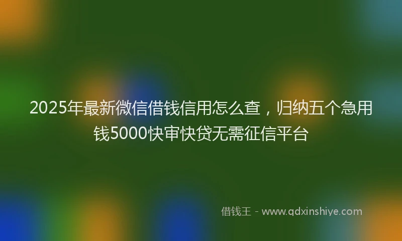 2025年最新微信借钱信用怎么查，归纳五个急用钱5000快审快贷无需征信平台