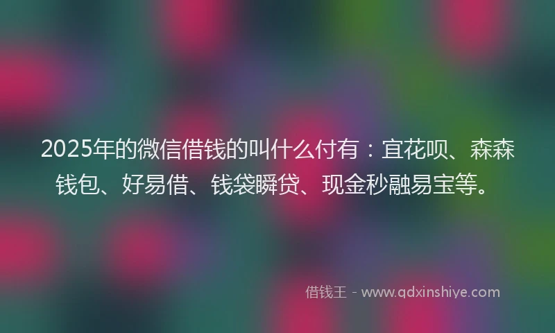 2025年的微信借钱的叫什么付有：宜花呗、森森钱包、好易借、钱袋瞬贷、现金秒融易宝等。