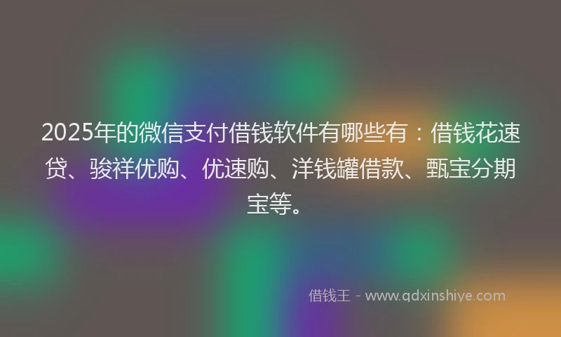 2025年的微信支付借钱软件有哪些有：借钱花速贷、骏祥优购、优速购、洋钱罐借款、甄宝分期宝等。