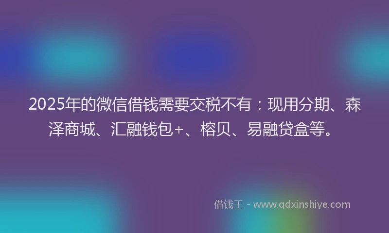 2025年的微信借钱需要交税不有：现用分期、森泽商城、汇融钱包+、榕贝、易融贷盒等。