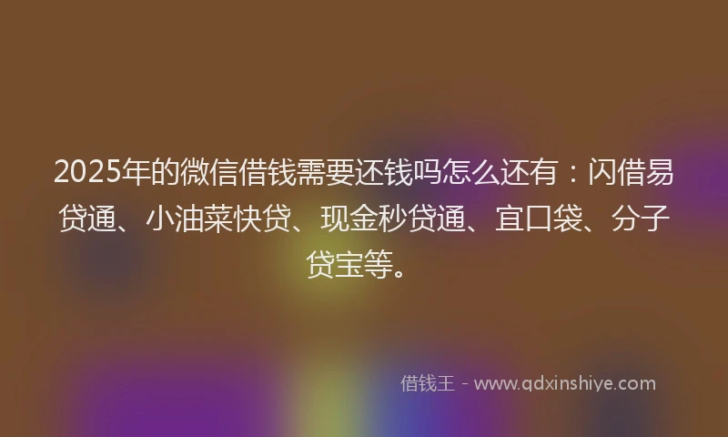 2025年的微信借钱需要还钱吗怎么还有：闪借易贷通、小油菜快贷、现金秒贷通、宜口袋、分子贷宝等。
