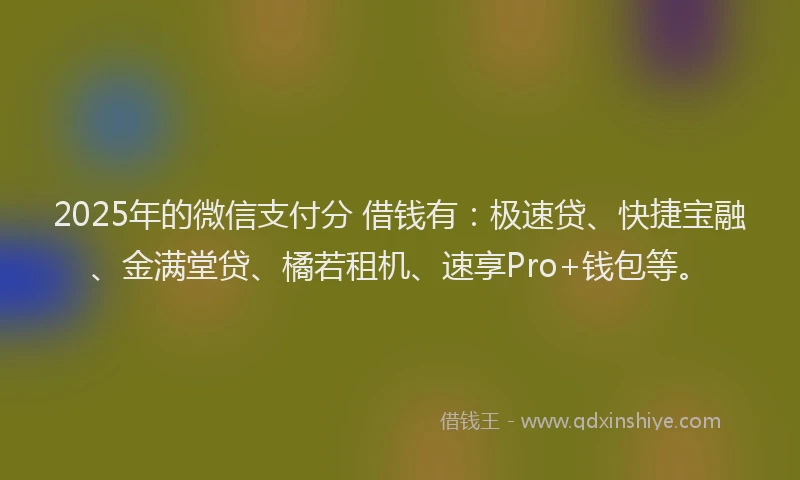 2025年的微信支付分 借钱有：极速贷、快捷宝融、金满堂贷、橘若租机、速享Pro+钱包等。