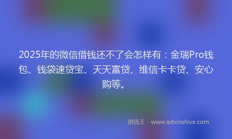 2025年的微信借钱还不了会怎样有：金瑞Pro钱包、钱袋速贷宝、天天富贷、维信卡卡贷、安心购等。