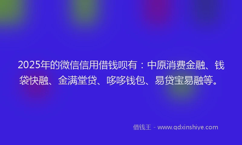 2025年的微信信用借钱呗有：中原消费金融、钱袋快融、金满堂贷、哆哆钱包、易贷宝易融等。