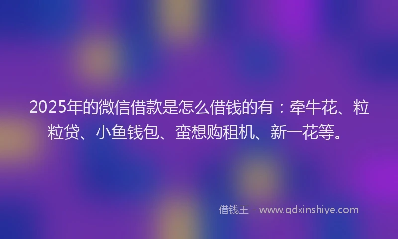 2025年的微信借款是怎么借钱的有：牵牛花、粒粒贷、小鱼钱包、蛮想购租机、新一花等。