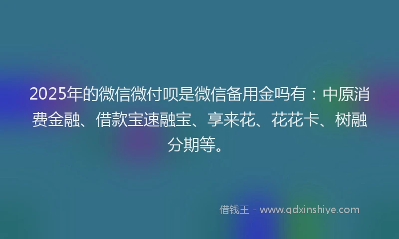 2025年的微信微付呗是微信备用金吗有：中原消费金融、借款宝速融宝、享来花、花花卡、树融分期等。