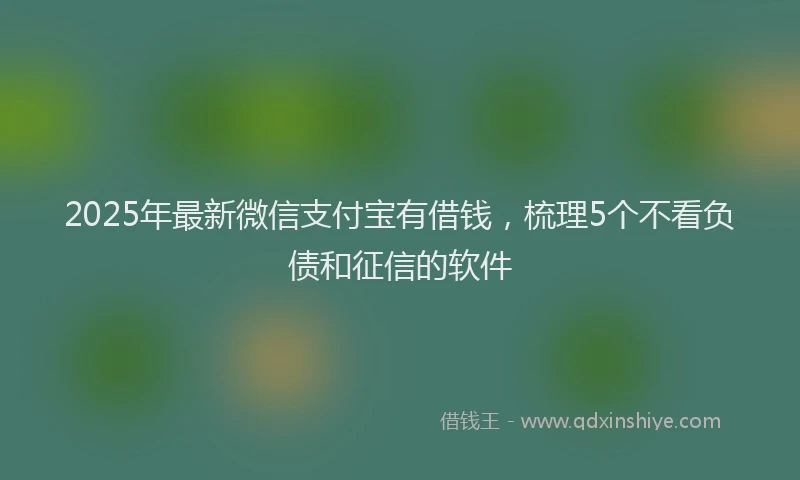 2025年最新微信支付宝有借钱，梳理5个不看负债和征信的软件