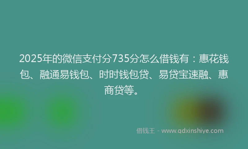 2025年的微信支付分735分怎么借钱有：惠花钱包、融通易钱包、时时钱包贷、易贷宝速融、惠商贷等。