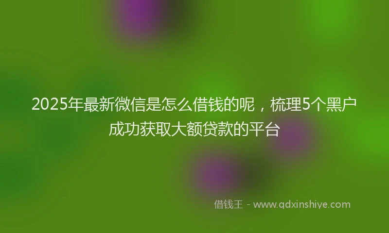 2025年最新微信是怎么借钱的呢，梳理5个黑户成功获取大额贷款的平台