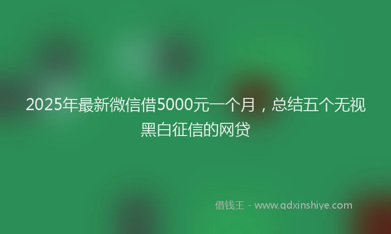 2025年最新微信借5000元一个月，总结五个无视黑白征信的网贷