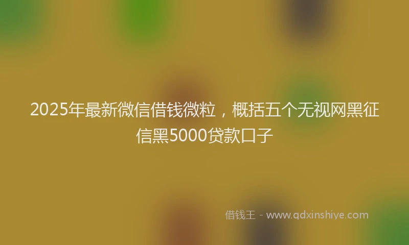 2025年最新微信借钱微粒，概括五个无视网黑征信黑5000贷款口子
