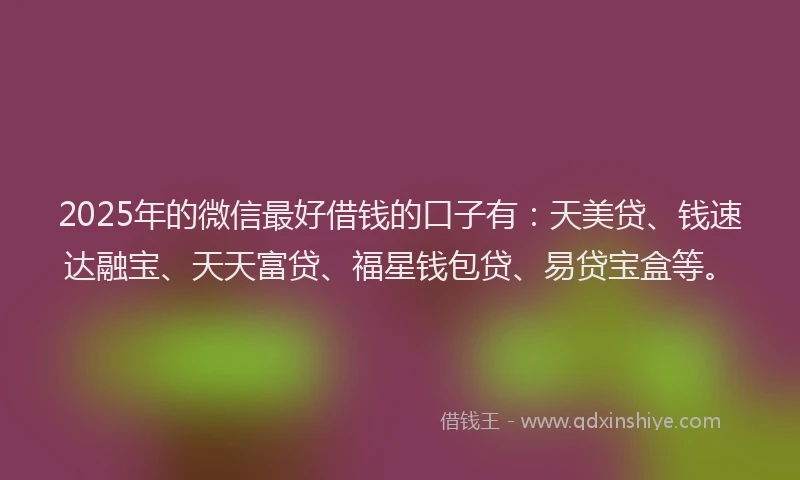 2025年的微信最好借钱的口子有：天美贷、钱速达融宝、天天富贷、福星钱包贷、易贷宝盒等。