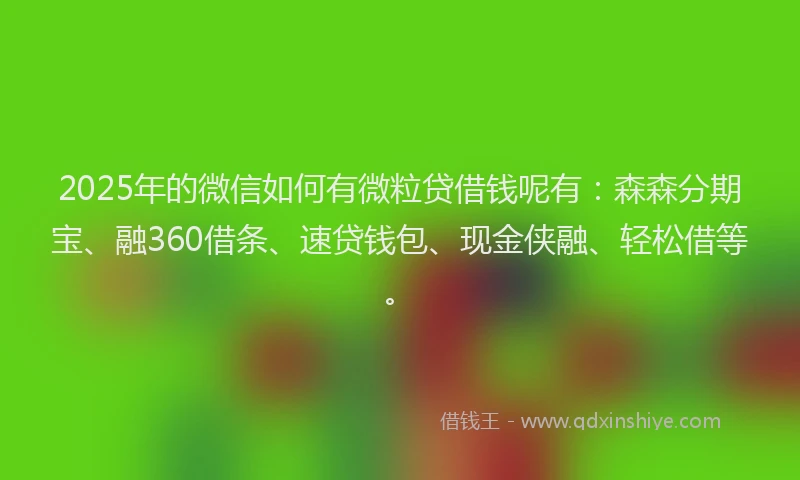 2025年的微信如何有微粒贷借钱呢有：森森分期宝、融360借条、速贷钱包、现金侠融、轻松借等。
