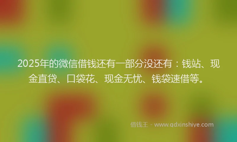 2025年的微信借钱还有一部分没还有：钱站、现金直贷、口袋花、现金无忧、钱袋速借等。